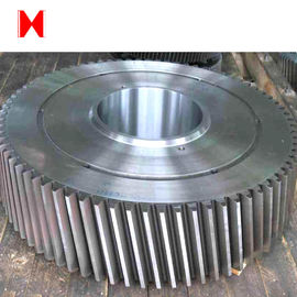 External Helical Teeth Gear